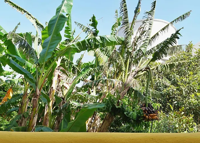 Mbird Lx Yard Lisboa