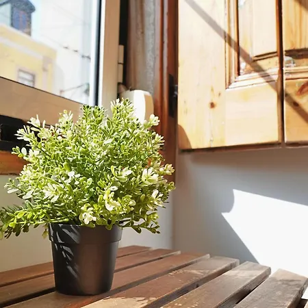 Mbird Lx Yard Apartment *