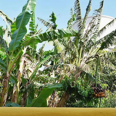 Mbird Lx Yard Lisboa