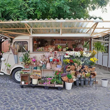 Mbird Lx Yard Lejlighed Lisboa